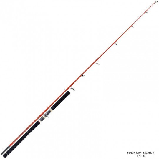 Angelruten Exo und Thunfisch Spinning Tenryu Furrary Racing 60 LB