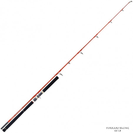 Angelruten Exo und Thunfisch Spinning Tenryu Furrary Racing 60 LB