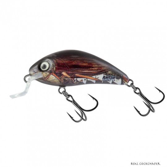 Señuelo Duro Salmo Rattlin Hornet Shallow 3,5cm
