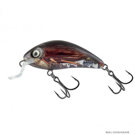 Poisson Nageur Salmo Rattlin Hornet Shallow 3,5cm
