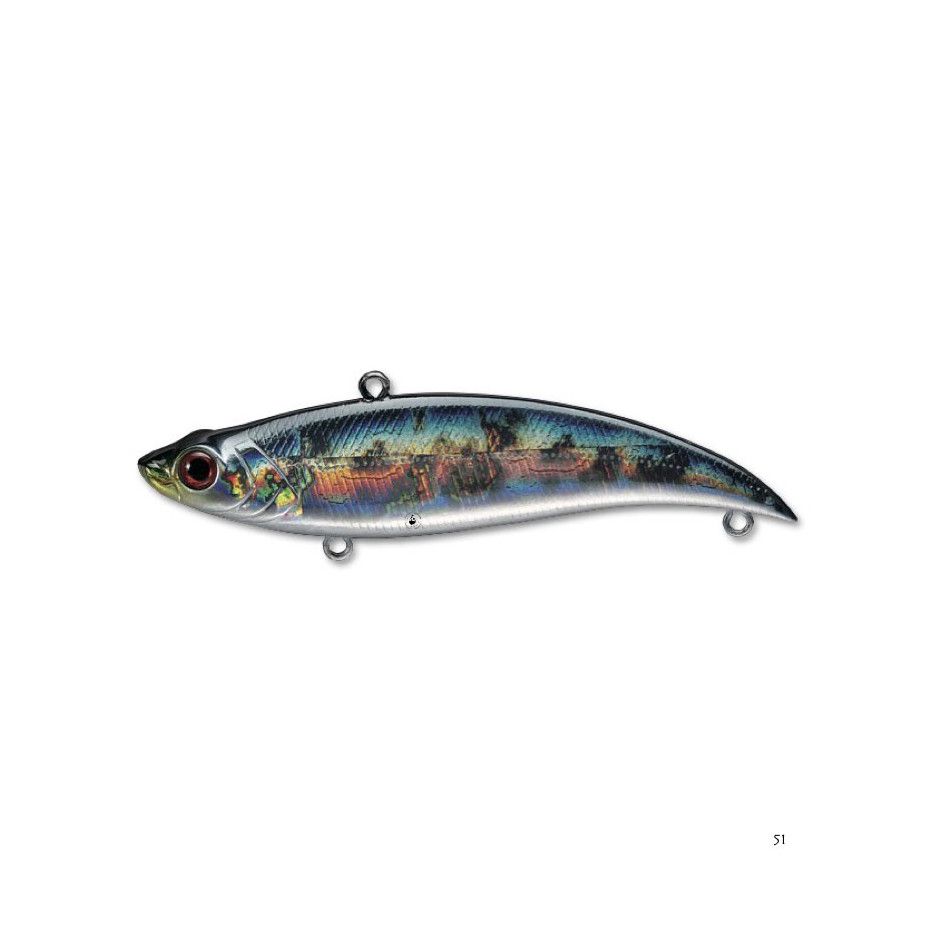 Poisson Nageur Smith Bay Blue 90