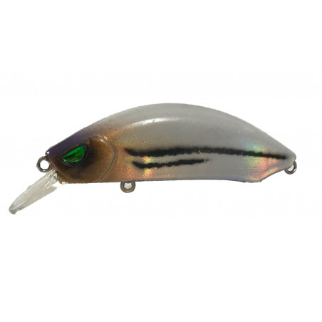 MRcraft Rcraft 55 hard bait