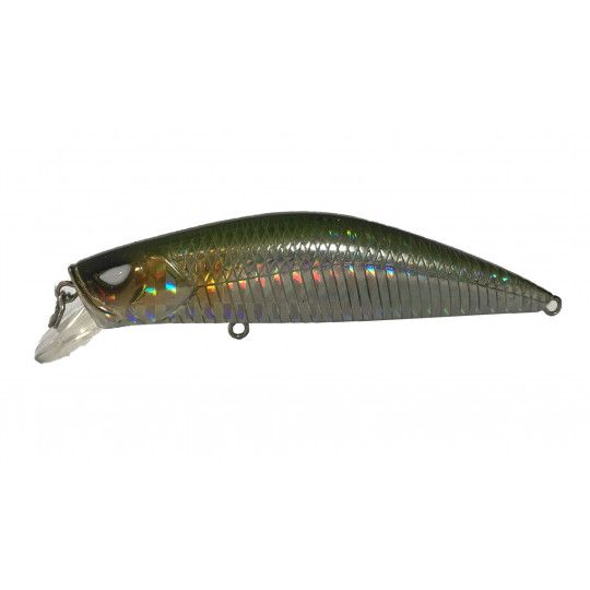 Poisson Nageur MRCraft Rmax 80