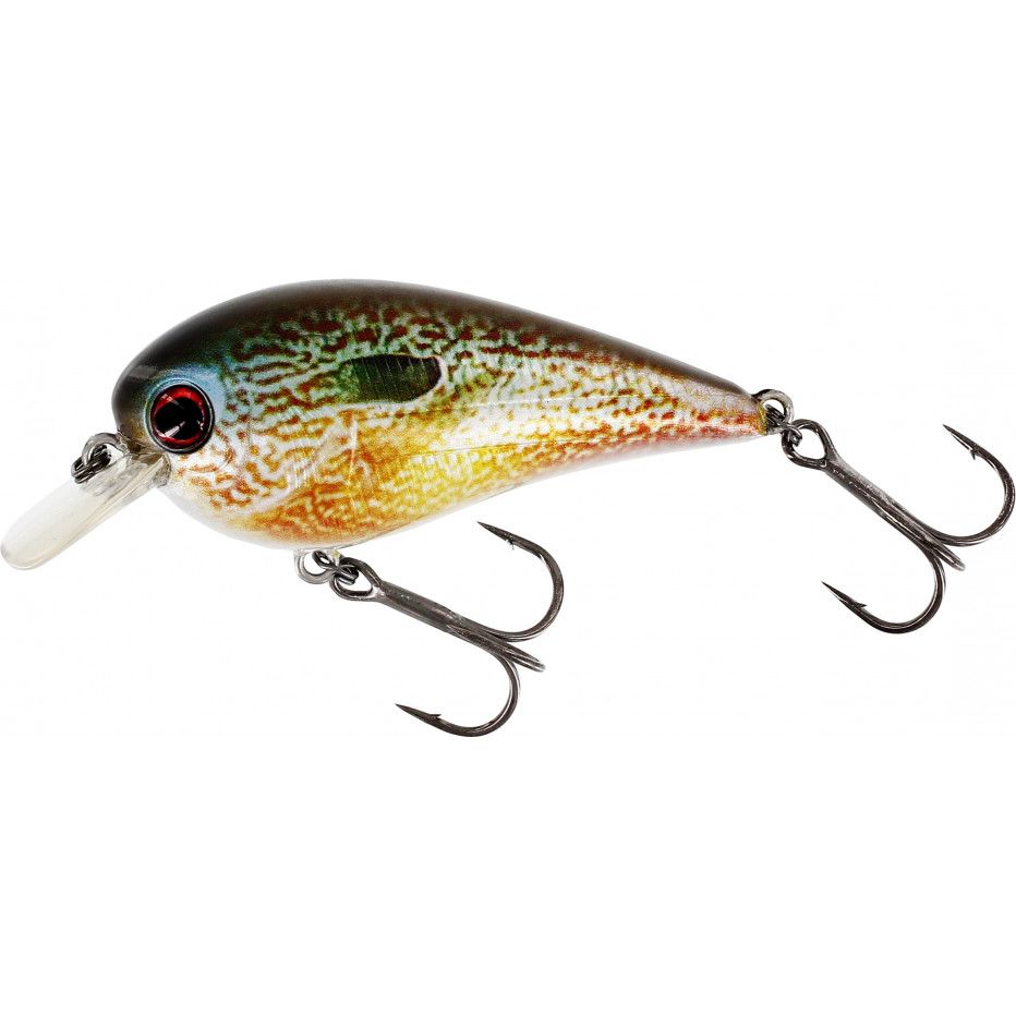Hard Bait Westin Bassbite Squarebill 6cm