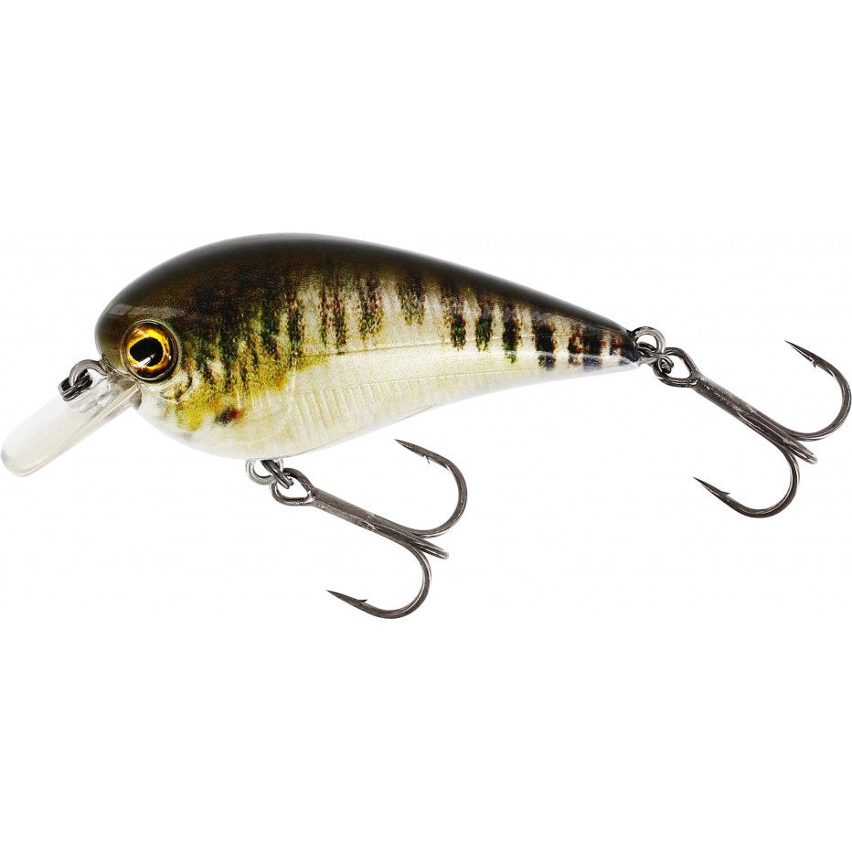 Hard Bait Westin Bassbite Squarebill 6cm
