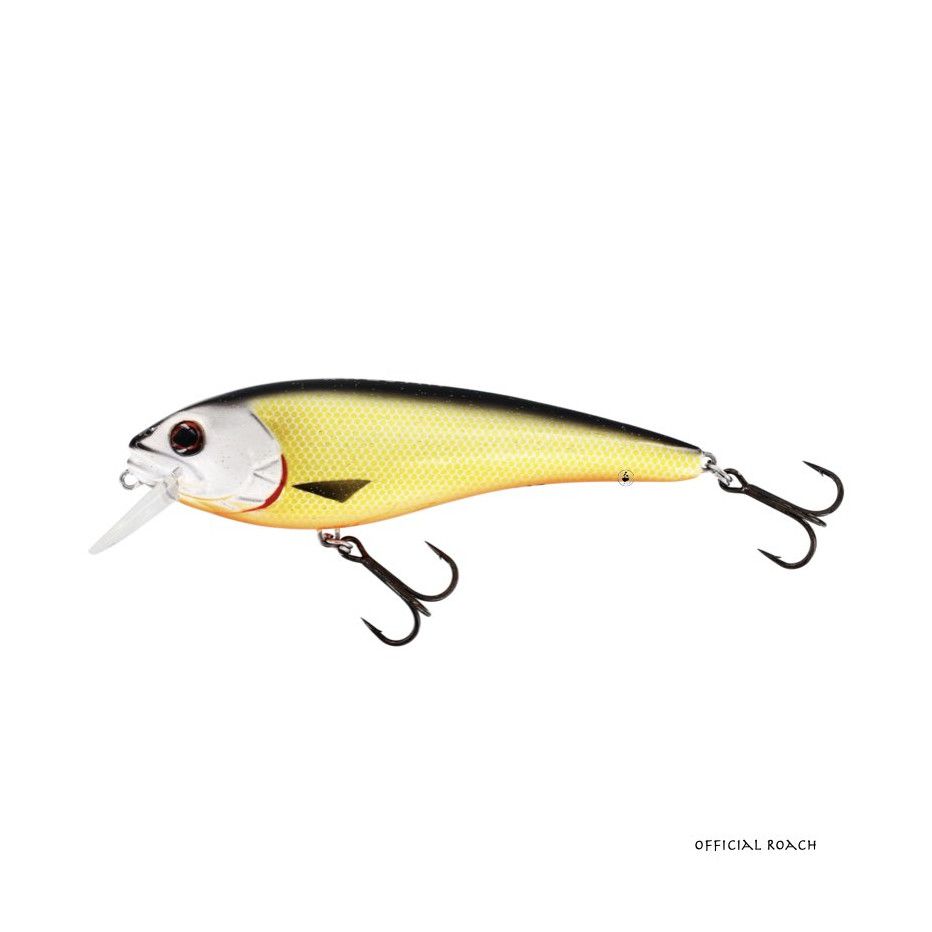 Señuelo Duro Westin RawBite Crankbait 17cm