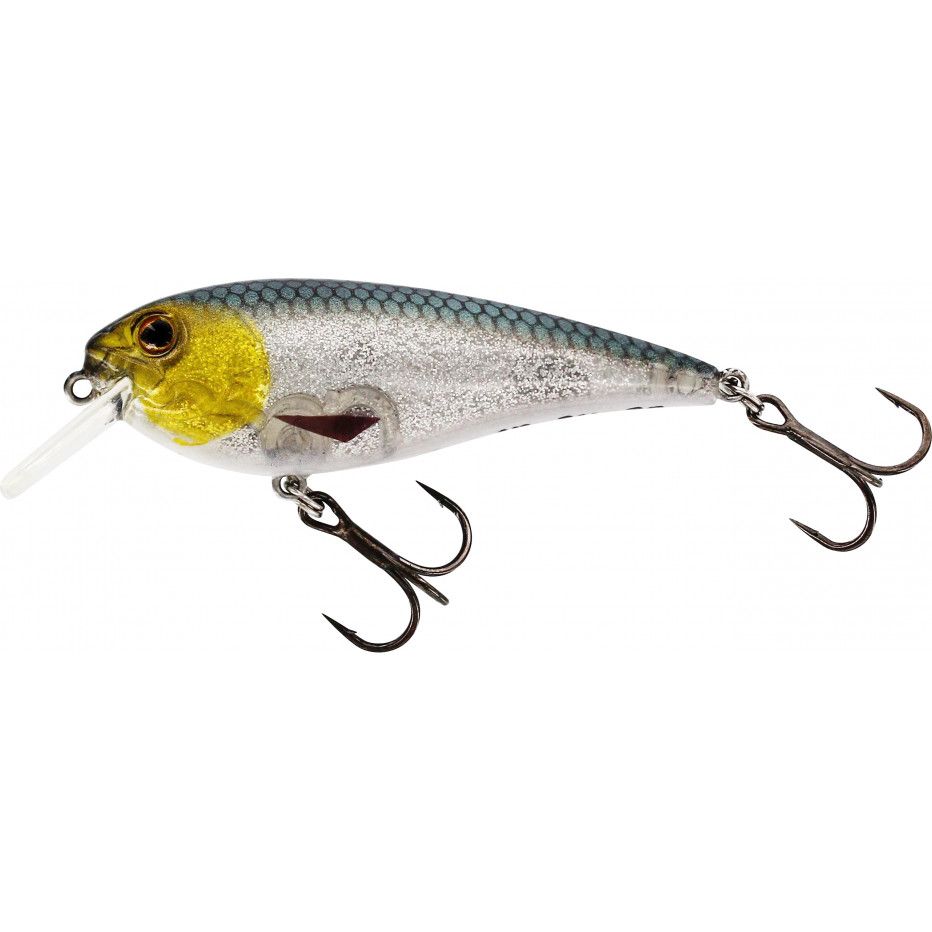 Hard bait Westin Raw bite 7cm