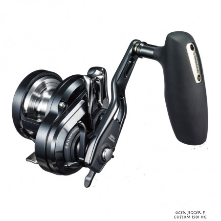 Baitcast Rollen Meer Shimano Ocea Jigger F Custom 2000 NR