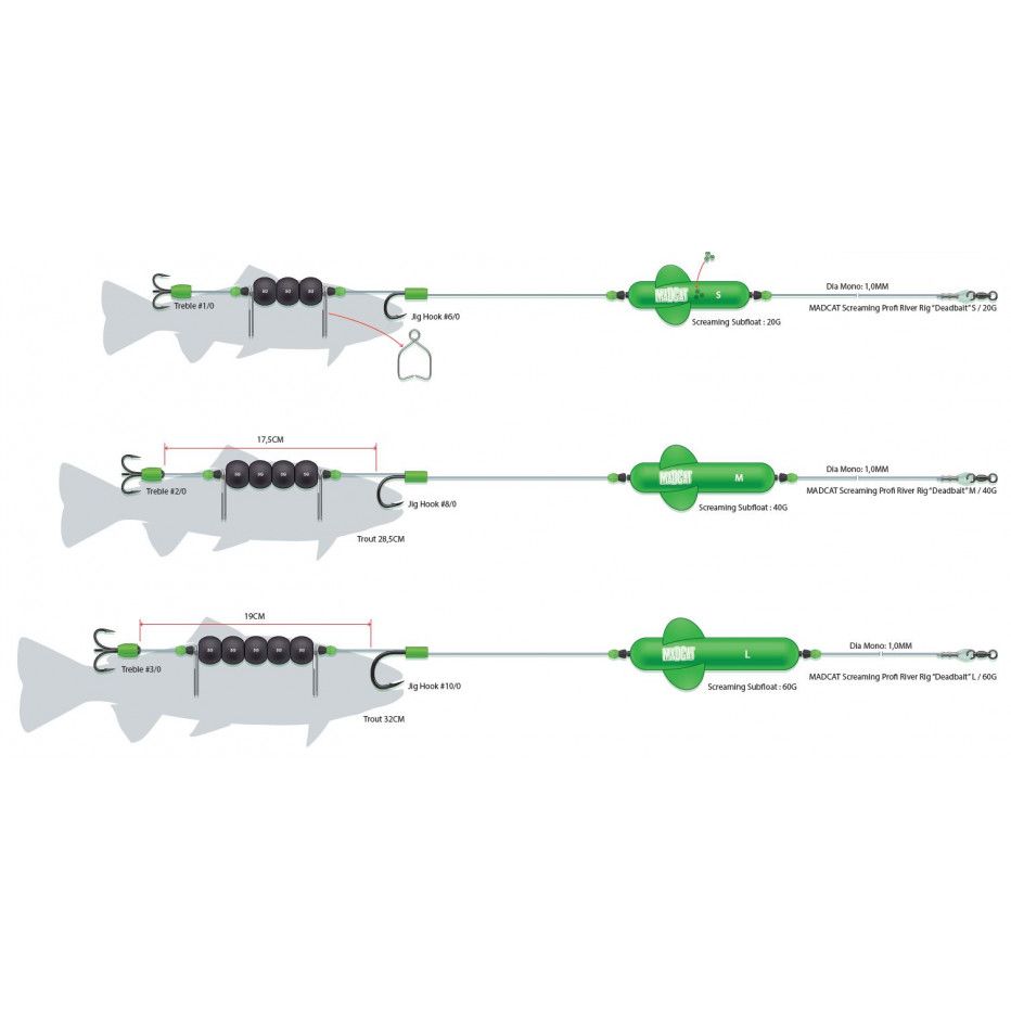 Montage Madcat Screaming Profi River Rigs "Toter Köder"