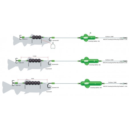 Montage Madcat Screaming Profi River Rigs "Toter Köder"