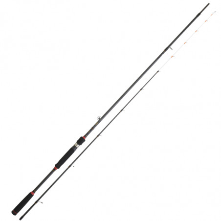 Caña de spinning Daiwa Legalis Tenya BF