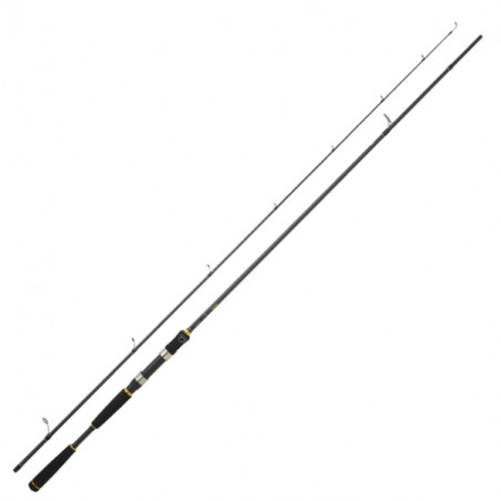 Spinning rod Sea Daiwa Legalis Seabass AF