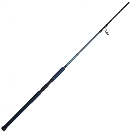 Spinnruten Smith Offshore Stick GTK Amuro 250