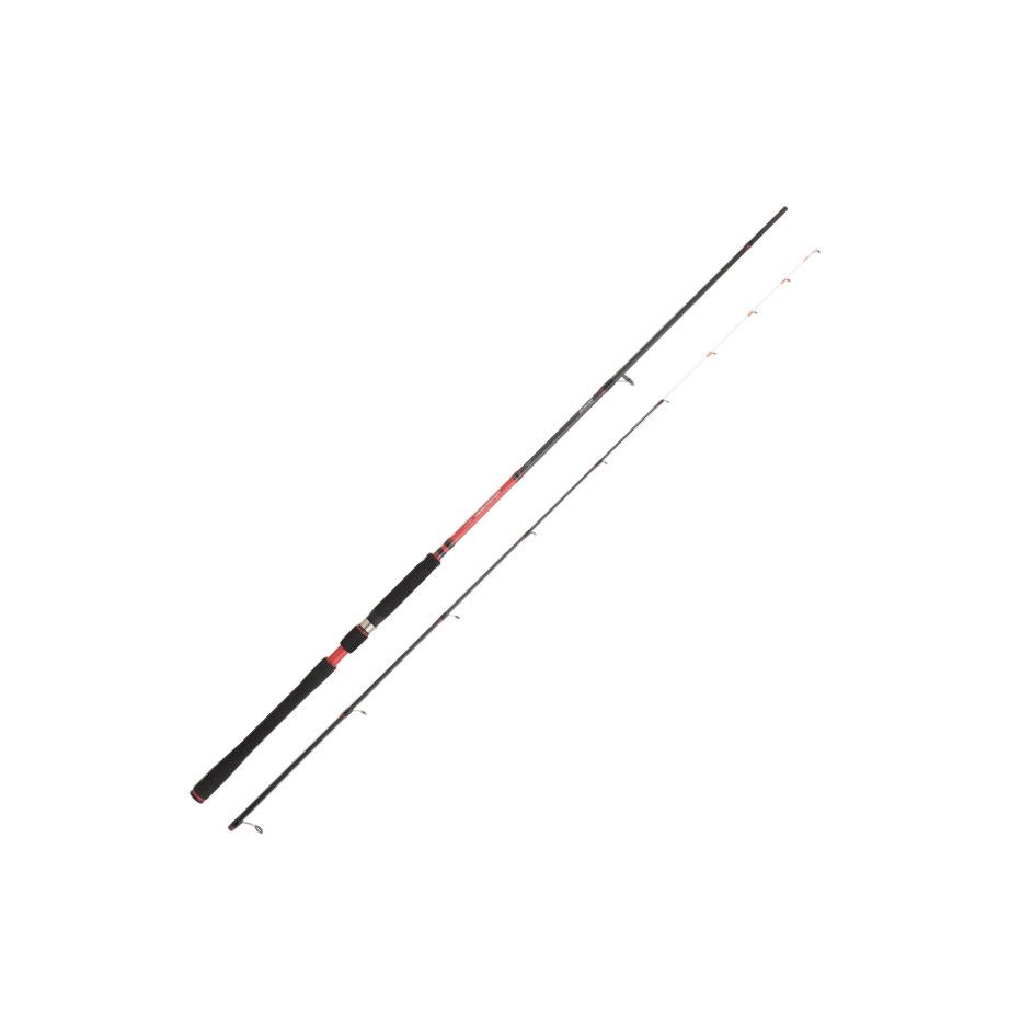Spinnruten Daiwa Powermesh Tenya AF