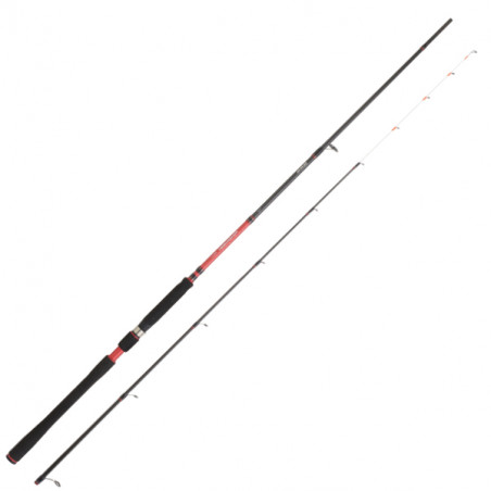 Spinnruten Daiwa Powermesh Tenya AF