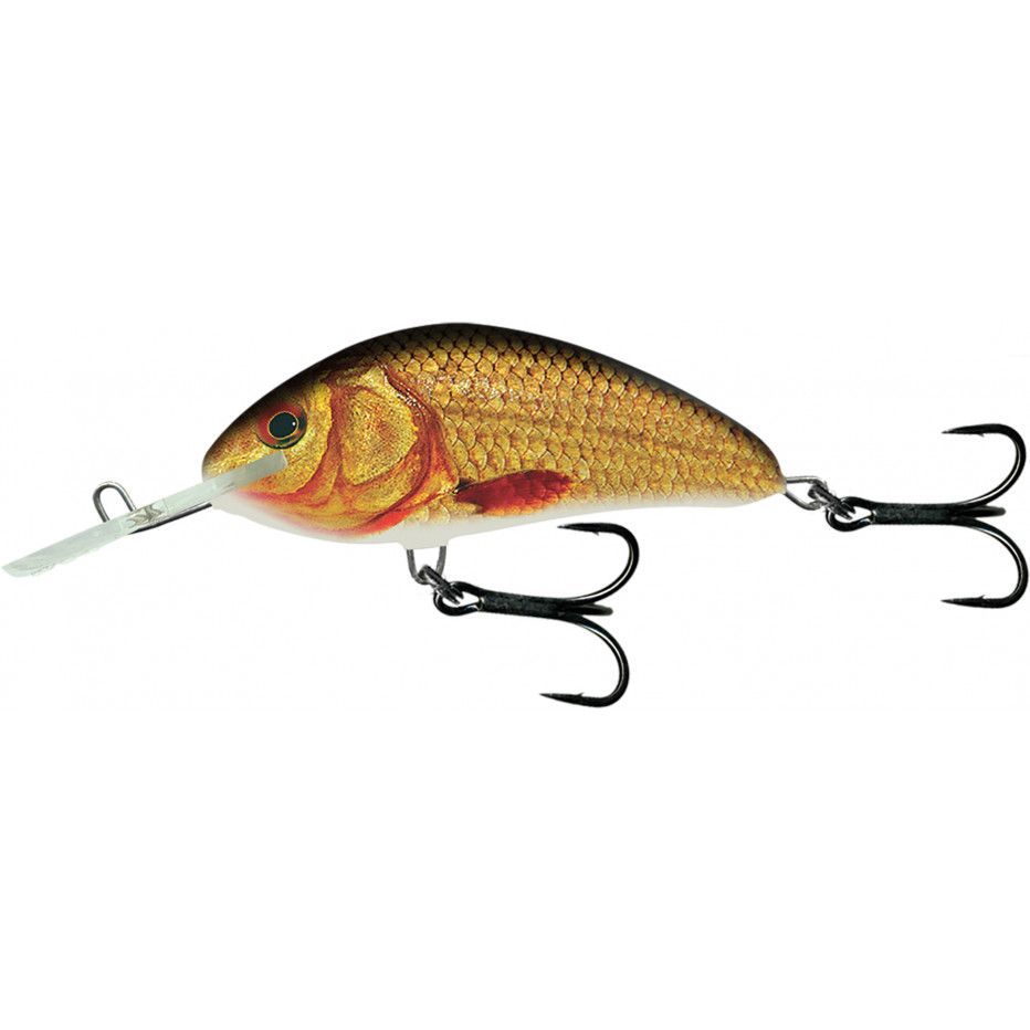 Hard Bait Salmo Hornet 9cm