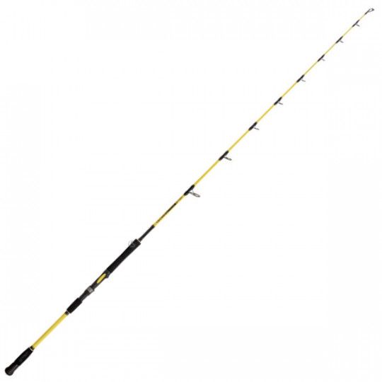 Catfish rod Black Cat...