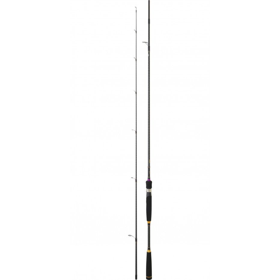 Spinning rod Daiwa Legalis Squid BF