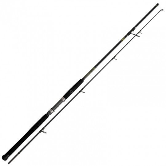 Catfish rod Black Cat Solid Spin