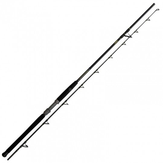 Catfish rod Black Cat Solid Bank 290