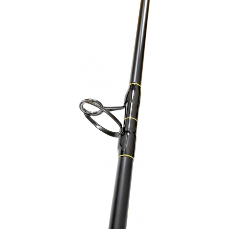 Catfish rod Black Cat Solid Bank 290