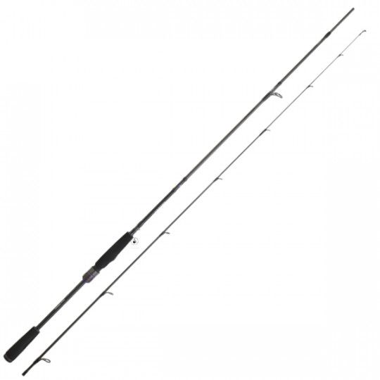 Spinnruten Daiwa Prorex AGS BF