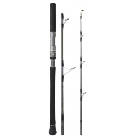 Spinning rod Hearty Rise Skywalker Jigging