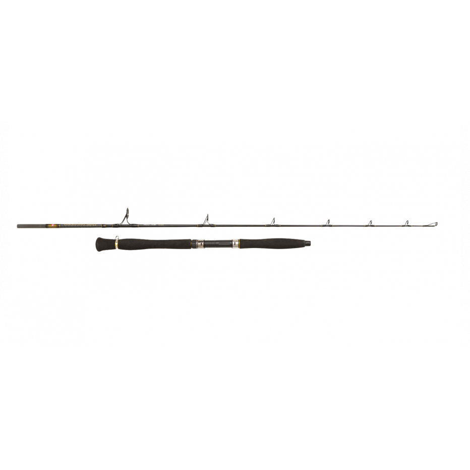 Spinning Catfish rod Penn Legion Cat Gold Belly Pump