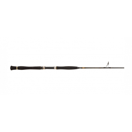 Caña para siluro Penn Legion Cat Gold Clonk 210