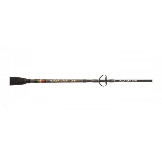 Catfish rod Penn Legion Cat Gold Clonk 210