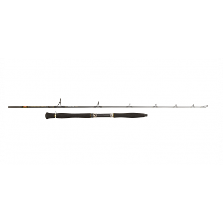 Caña para siluro Penn Legion Cat Gold Clonk 210