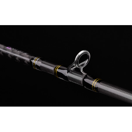 Baitcast Ruten Spro Specter Finesse