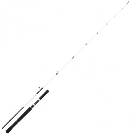 Sea Rod Daiwa Saltist Offshore