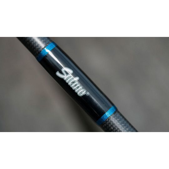 Spinning rod Salmo Top Pop 210