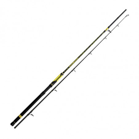 Catfish rod Black Cat Perfect Passion Spin 270