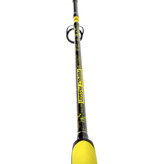 Catfish rod Black Cat Perfect Passion Boat Spin 240