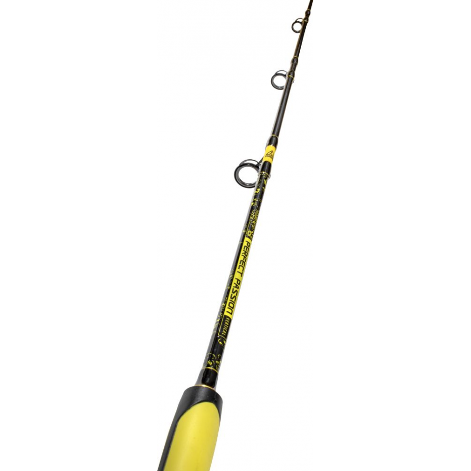 Black Cat Black Passion G2 Vertical 180 cm 240 g - Canne à pêche au poisson