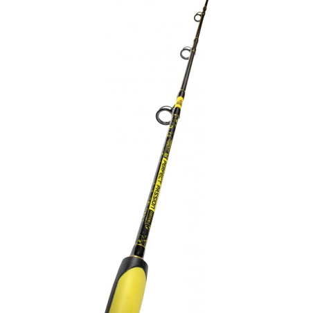 Catfish rod Black Cat Perfect Passion Vertical 180