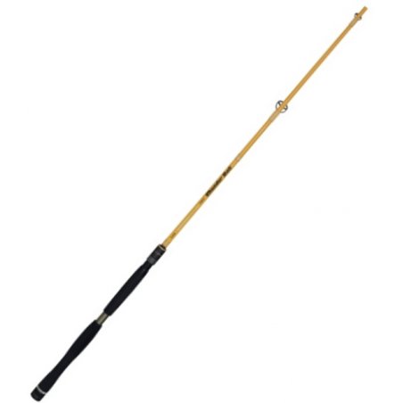 Caña de spinning Illex Element Rider X5 S 215H Thunder Bolt