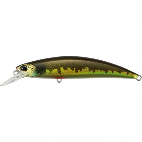 Poisson Nageur Duo Ryuki 80 S