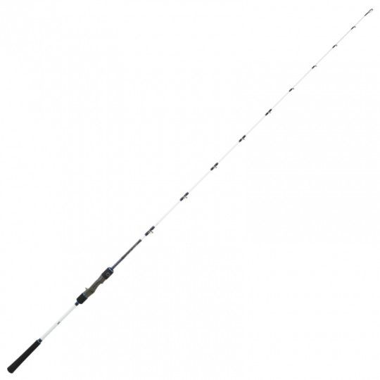 Canne Mer Daiwa Saltist Offshore
