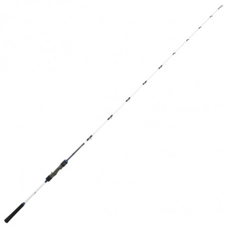 Sea Rod Daiwa Saltist Offshore