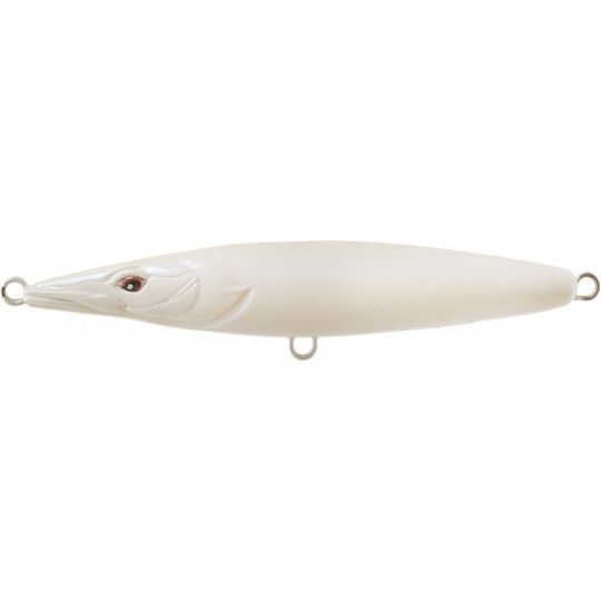 Asturie 110 de Xorus pour la pêche en mer des carnassiers en surface