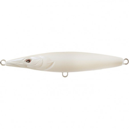 Asturie 110 de Xorus pour la pêche en mer des carnassiers en surface