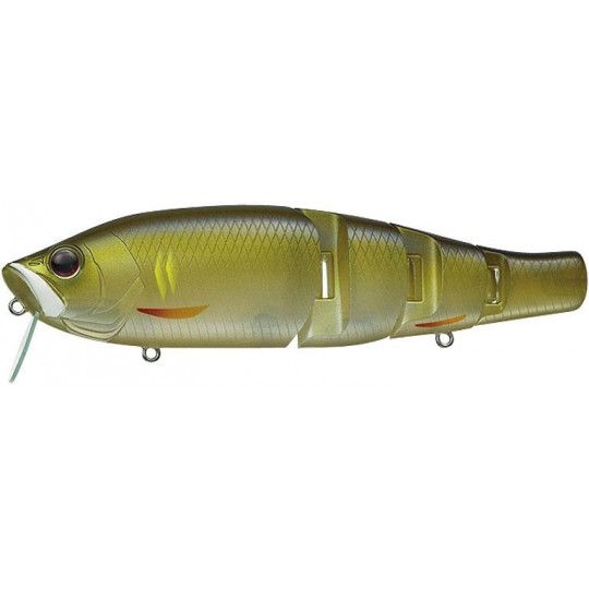 Poissons Nageur Evergreen Royal Flash JR