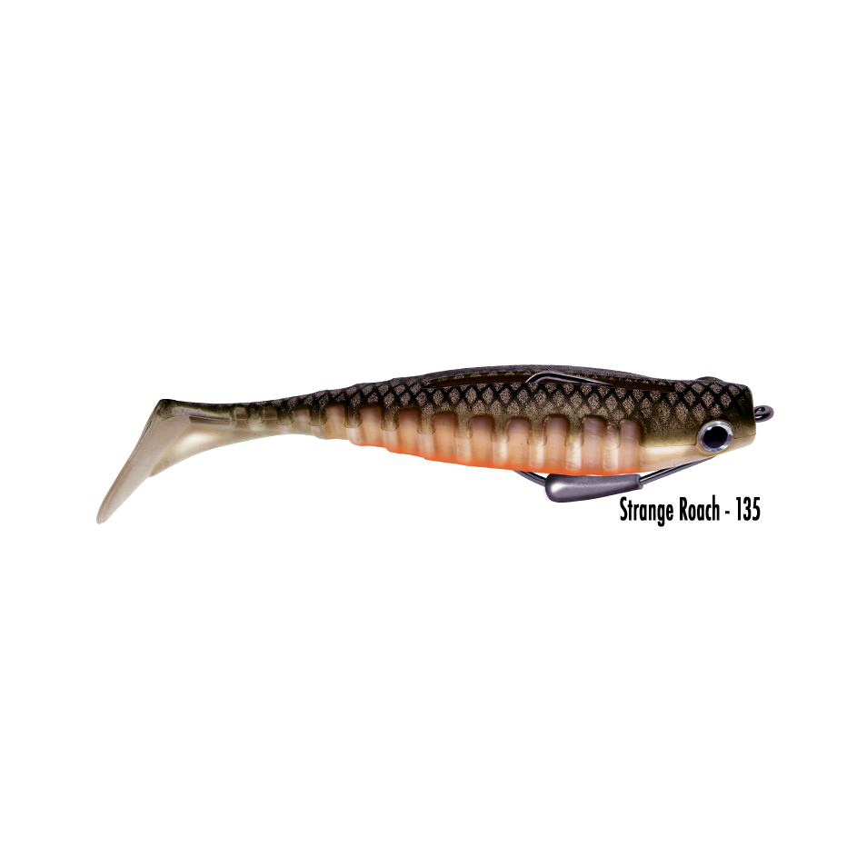 Flexible mounted lure Delalande Neo Shallow 13cm