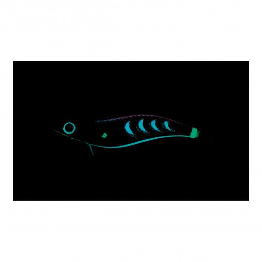 Squid jig lure Yo-Zuri Aurie-Q Search Double Glow 3.0