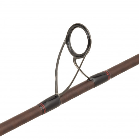 Angelruten Abu Garcia Beast Pro Spinnrute