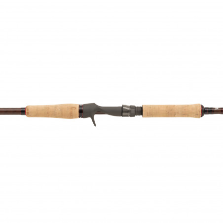 Canne Casting Abu Garcia Beast Pro