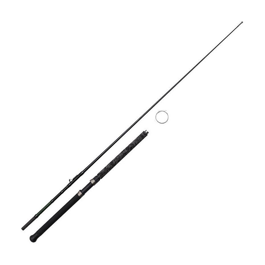 Catfish rod Madcat Black Inline 210